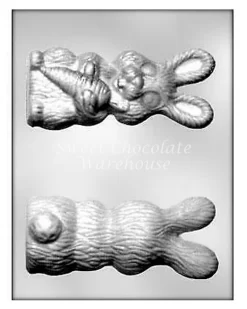 Bunny With Carrot Chocolate Mould – 6.4 Cm X 15.2 Cm X 7 Cm – BPA-free Plastic