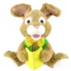 Talking Story Time Bunny 25cm